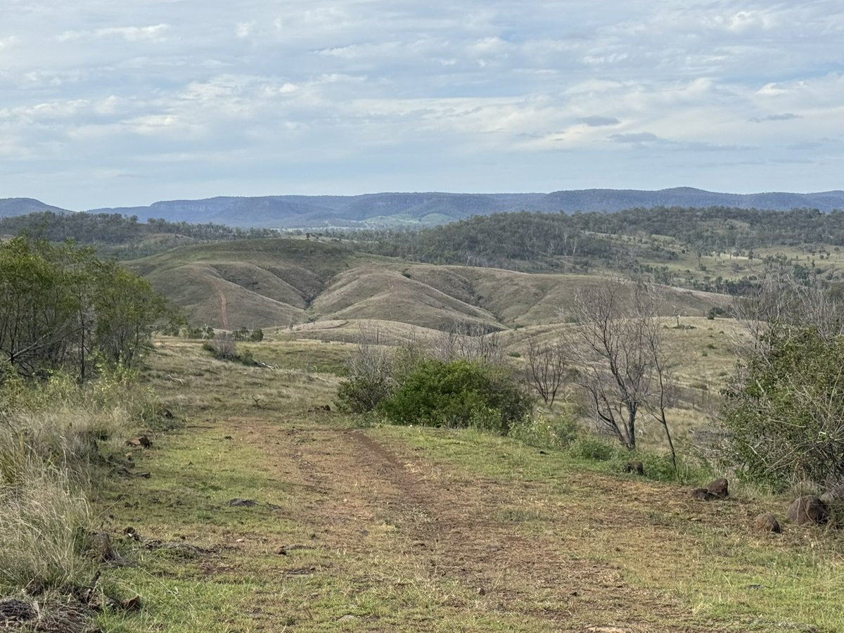 Nick Tulloch (@nicktulloch2) on Twitter photo Another busy day, this time at <a href="/ecrminerals/">ecrminerals</a> Blue Mountain tenement. Seen from nearby hills, there are numerous gullies prospective for alluvial gold.
#ecr Another busy day, this time at <a href="/ecrminerals/">ecrminerals</a> Blue Mountain tenement. Seen from nearby hills, there are numerous gullies prospective for alluvial gold.
#ecr