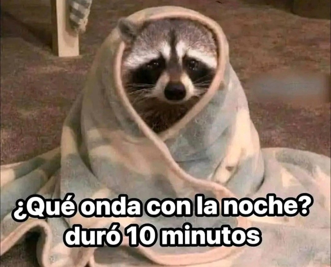 En Júpiter (@en_jupiter_) on Twitter photo 