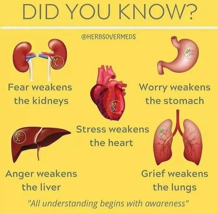 Limitless Form tweet media