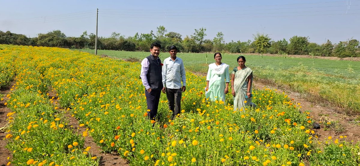 CSIR Floriculture Mission (@csirflori) on Twitter photo Under CSIR- Floriculture Mission, team CSIR- NBRI distributed 12,000 rose saplings and 2,00,000 Gaillardia seedlings among 40 farmers of Deoli cluster including 8 villeges of Maharashtra during 28-29 Jan 2025.
<a href="/akshasany/">Jagarnath Jai</a> Under CSIR- Floriculture Mission, team CSIR- NBRI distributed 12,000 rose saplings and 2,00,000 Gaillardia seedlings among 40 farmers of Deoli cluster including 8 villeges of Maharashtra during 28-29 Jan 2025.
<a href="/akshasany/">Jagarnath Jai</a>