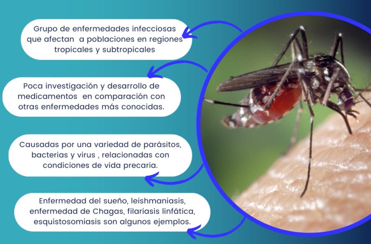 Es #DíaMundialETD #WorldNTDDay 
Más de 1.500 millones de personas viven amenazadas por el riesgo de sufrir enfermedades tropicales desatendidas #ETD, porque viven en comunidades pobres, remotas o marginadas.
En <a href="/SaludISCIII/">Instituto de Salud Carlos III (ISCIII)</a> se ha presentando
“Guía SEMTSI de las ETD”👇 #BeatNTDs