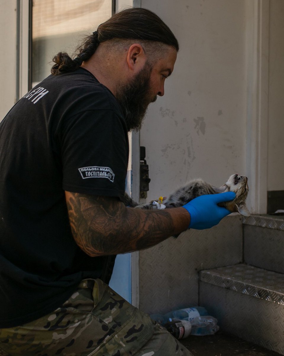 🐾«Госпітейлз» — це ветеринарний проєкт у вигляді окремої організації, заснований батальйоном «Госпітальєри», у межах якого об’єдналися волонтери, ветеринарні лікарі та хірурги провідних українських клінік.

До нашої роботи долучаються багато госпітальєрів, які, рятуючи людей, не