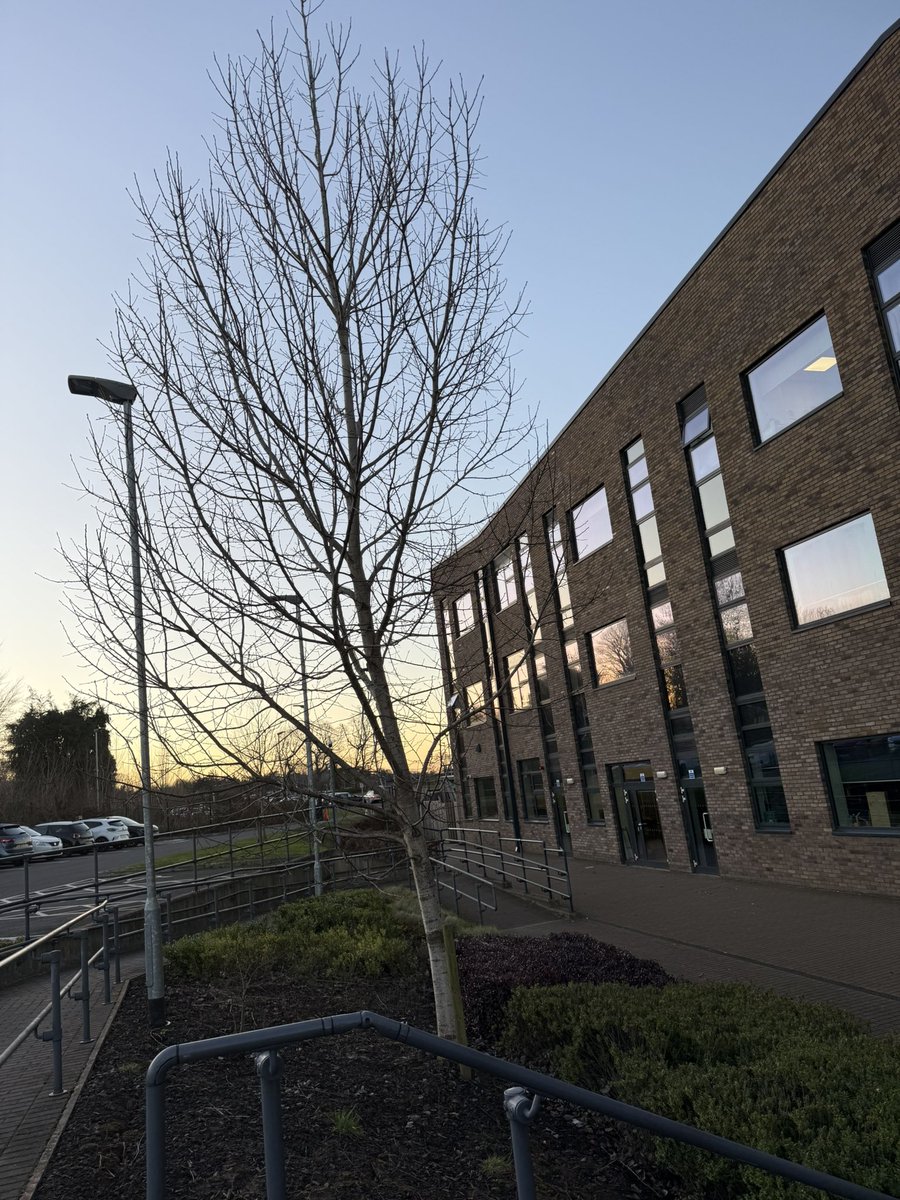 A breathtaking sunrise over Croesy this morning! 🌅