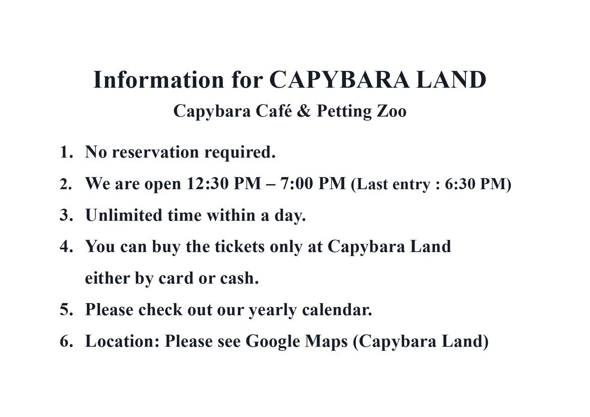 CAPYBARA LAND (Capybara Cafe & Petting Zoo) (@CapybaraLand) / X