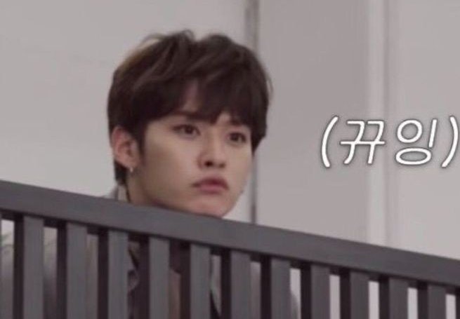 userlinoring's tweet image. sometimes life is all about tiny low quality mino