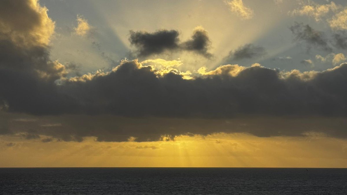 Guten Morgen, Champs 🫶🏼