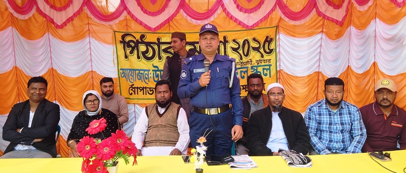 দেবহাটার উদায়ন প্রি-ক্যাডেটে পিঠা উৎসব