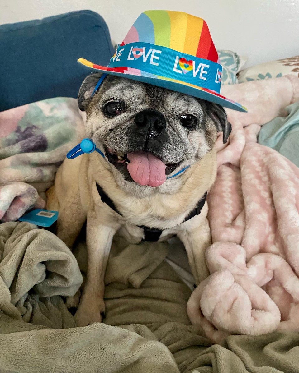 Kevin Brown tweet media