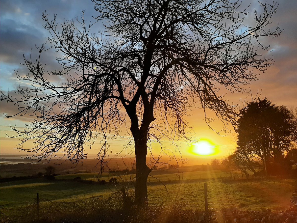 🌄✨ Start spring with the Imbolc Sunrise Stroll!
📍 Cooley Mountains, Carlingford
🕐 6:40–8:40 | 2hrs | Gentle pace
🌿 Trails, country paths &amp; the Deserted Village await!
👉 Info and details here bit.ly/40tFJXX
#VisitLouth #KeepDiscovering #BirthplaceofBrigid