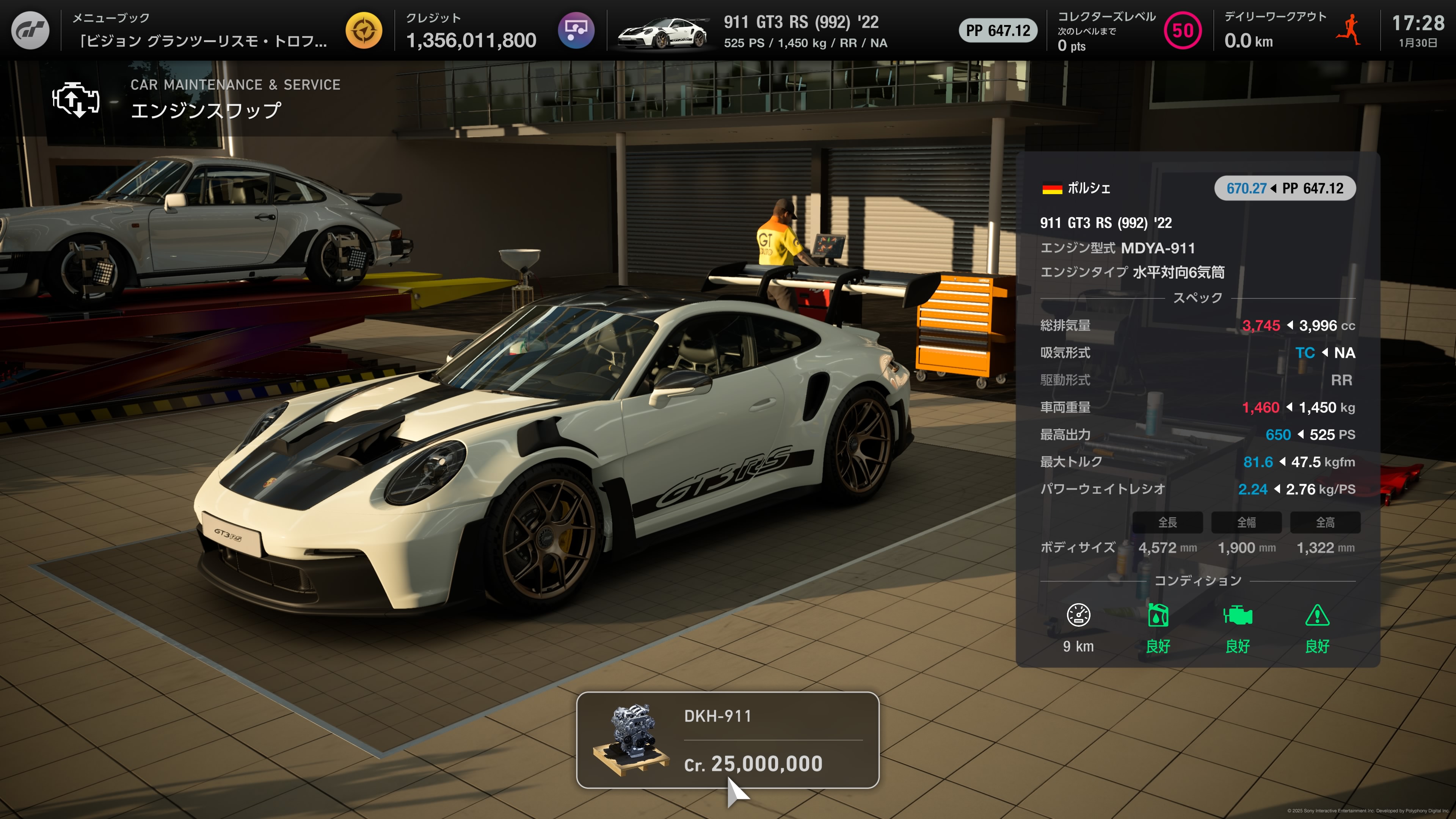 ひまわり 71FexcClpQL._AC_UF350,