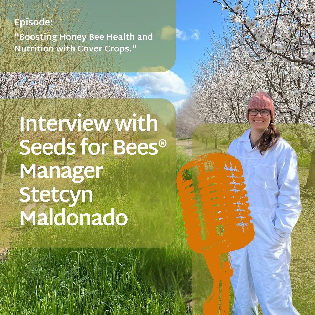 ProjectApism's tweet image. 🐝🌱 Exciting News! Seeds for Bees Manager Stetcyn Maldonado joins the Green Farm 4 All podcast to discuss how cover crops support honey bee health. 🎙️

🎧 Listen now: loom.ly/Zowpr7Q

#SeedsforBees #ProjectApisM #Podcast #GreenFarm4All