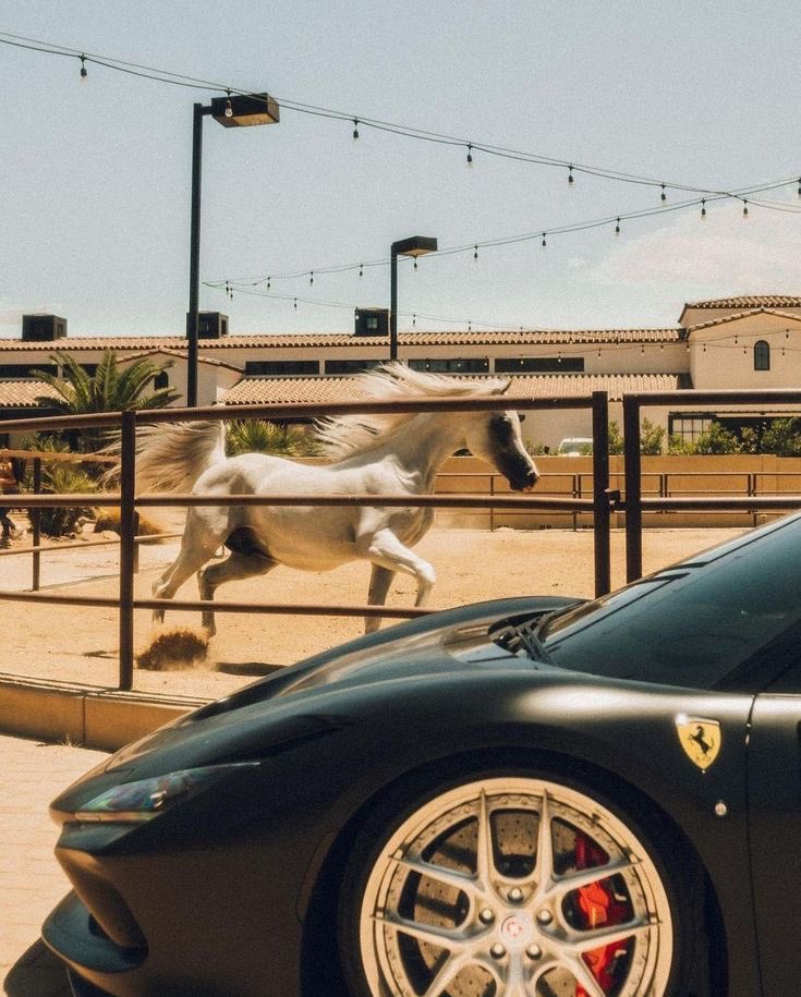 REX (@rexchillect) on Twitter photo 