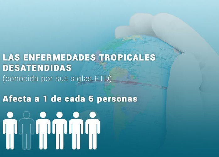 OneHealthUPCH's tweet photo. 1️⃣ 📢 Hoy es el Día Mundial de las Enfermedades Tropicales Desatendidas (ETD). Millones de personas siguen afectadas por estas enfermedades, que causan sufrimiento y perpetúan la pobreza. ¡Es hora de actuar! #BeatNTDs #OneHealth https://t.co/4q1VXAQQuP