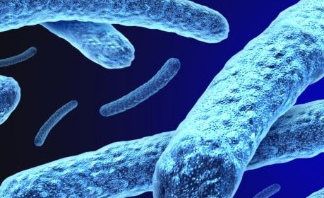MoHCCZim's tweet image. As we continue to observe world leprosy day hosted on Sunday 26  January 2025

Lets remember that same is curable. Early detection and treatment can cure it, stigma and discrimination remain the challenge #Leprosyawareness #WorldLeprosyDay