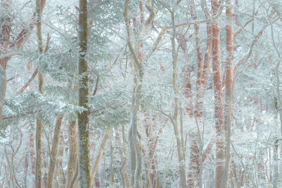 TT__Photo's tweet image. 最近の写真
霧島にくじゅうに阿蘇