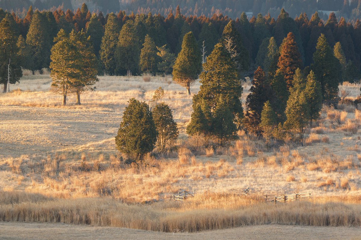 TT__Photo's tweet image. 最近の写真
霧島にくじゅうに阿蘇