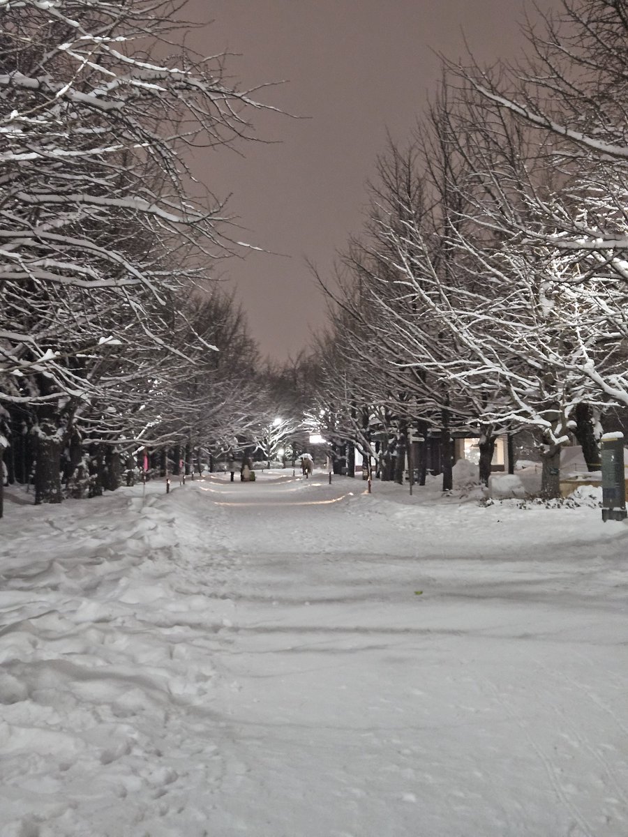 wonderful place to bleed out