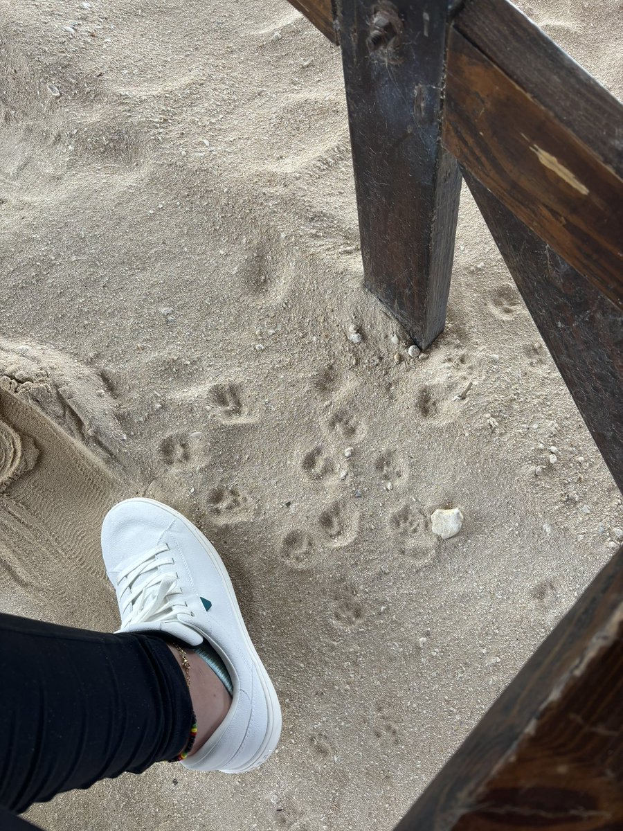 TowerGirlBell's tweet image. Post a picture you took. No description