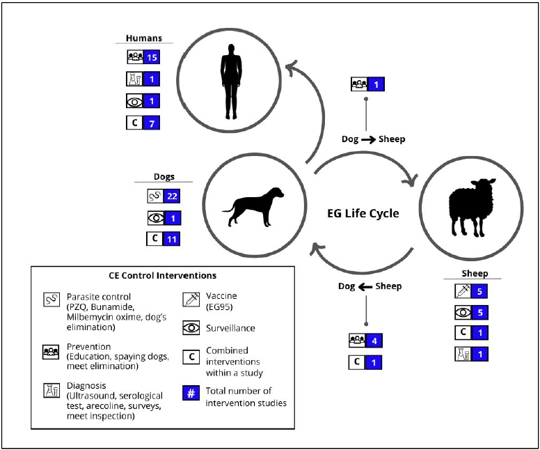 OneHealthUPCH's tweet photo. 4⃣🐕💊Otro ejemplo: Equinococosis Quística: Realizamos un análisis de 45 estudios sobre estrategias de control de #Echinococcus granulosus s.l. evaluamos: ✅Educación y monitoreo en humanos, ✅Praziquantel en perros,✅Enfoques combinados
📄 https://t.co/AZ1GuMAB1K  #OneHealth https://t.co/TOtmPH1BIl