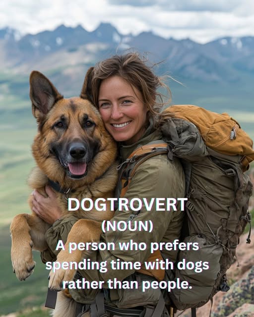 _XDogs's tweet image. 