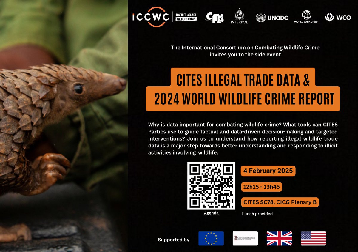 Join us at the #ICCWC side event at <a href="/CITES/">CITES</a> #SC78 next week!

CITES Illegal Trade Data &amp; 2024 World Wildlife Crime Report📊

📅 4 Feb
🕜 12h15-13h45

Find out more details &amp; see the full agenda by scanning the QR code below.

#TogetherAgainstWildlifeCrime