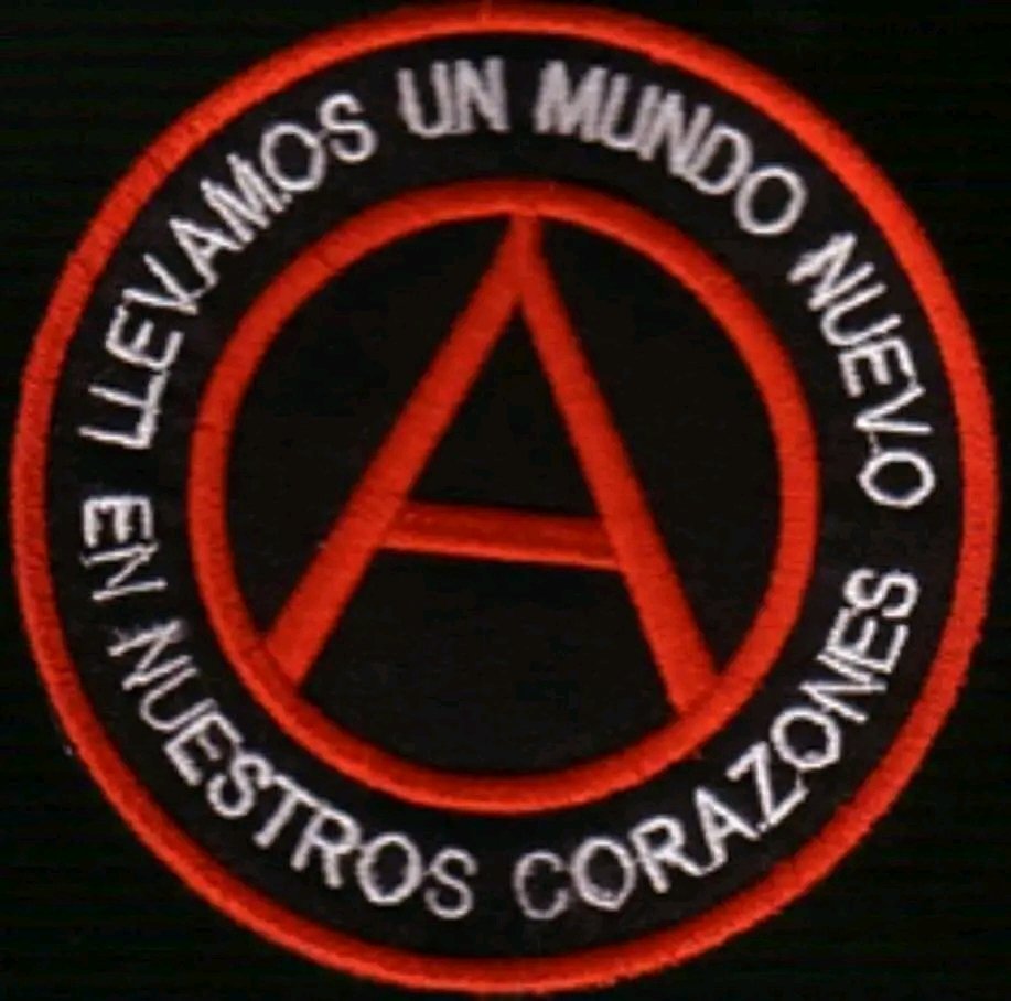 Lo dijeron todos los anarquistas, aunque muchos se empeñen en llamarla utopía. Nadie aspira a un mundo ideal. La Anarquía no será jamás una sociedad perfecta ni el anarquismo es una lucha utópica. Lo que sí parece una utopía es seguir delegando nuestras vidas.