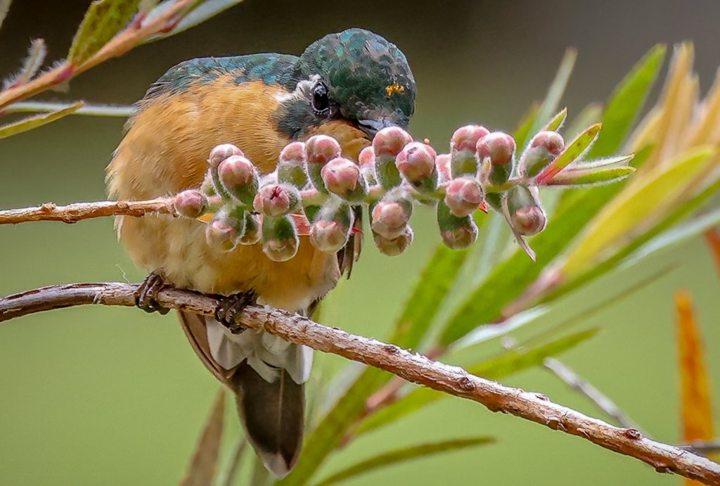 Gary Ladner tweet media