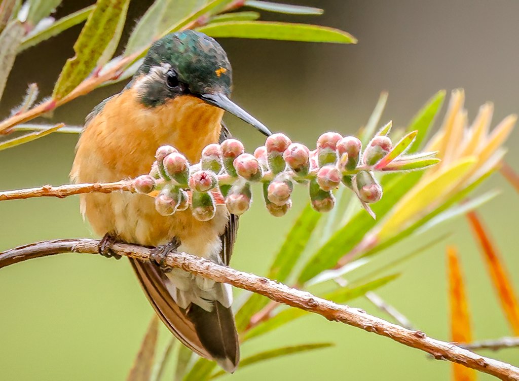 Gary Ladner tweet media