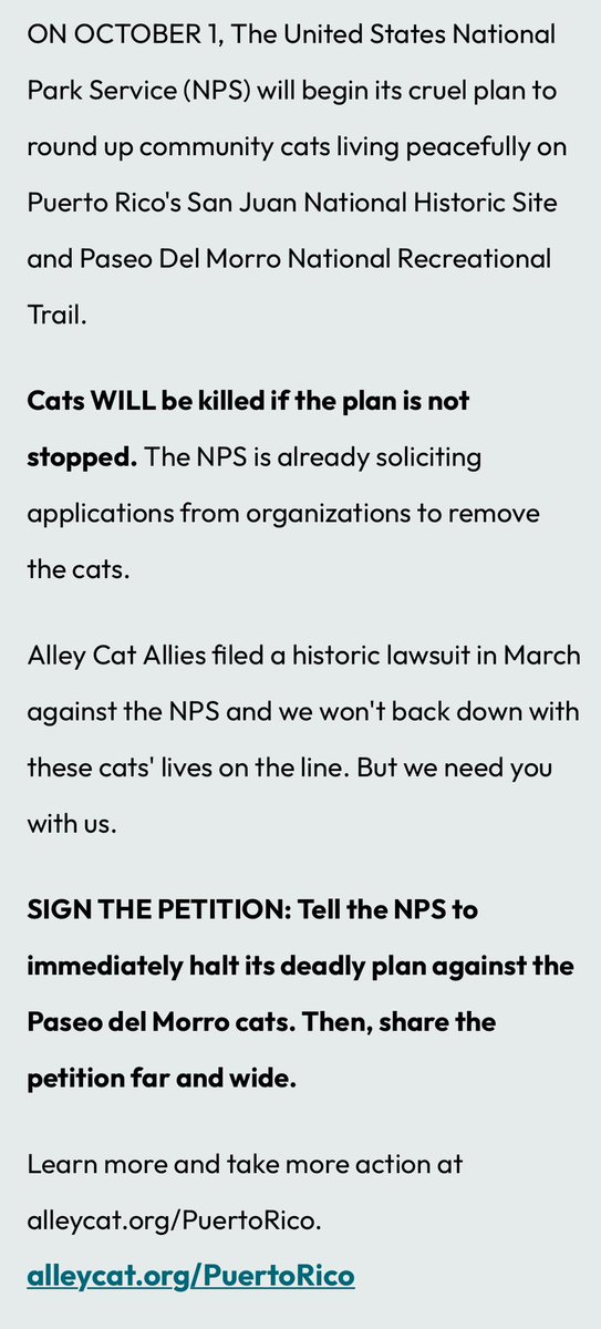anascrossing's tweet photo. The United States National Park Service (NPS) will begin its cruel plan to round up community cats living peacefully on Puerto Rico's San Juan(…).
Cats WILL be killed if the plan is not stopped.

Please take a moment to sign or share the petition🙏🏼 

https://t.co/TI0sYgi2kb https://t.co/dcW7Tru4Ii