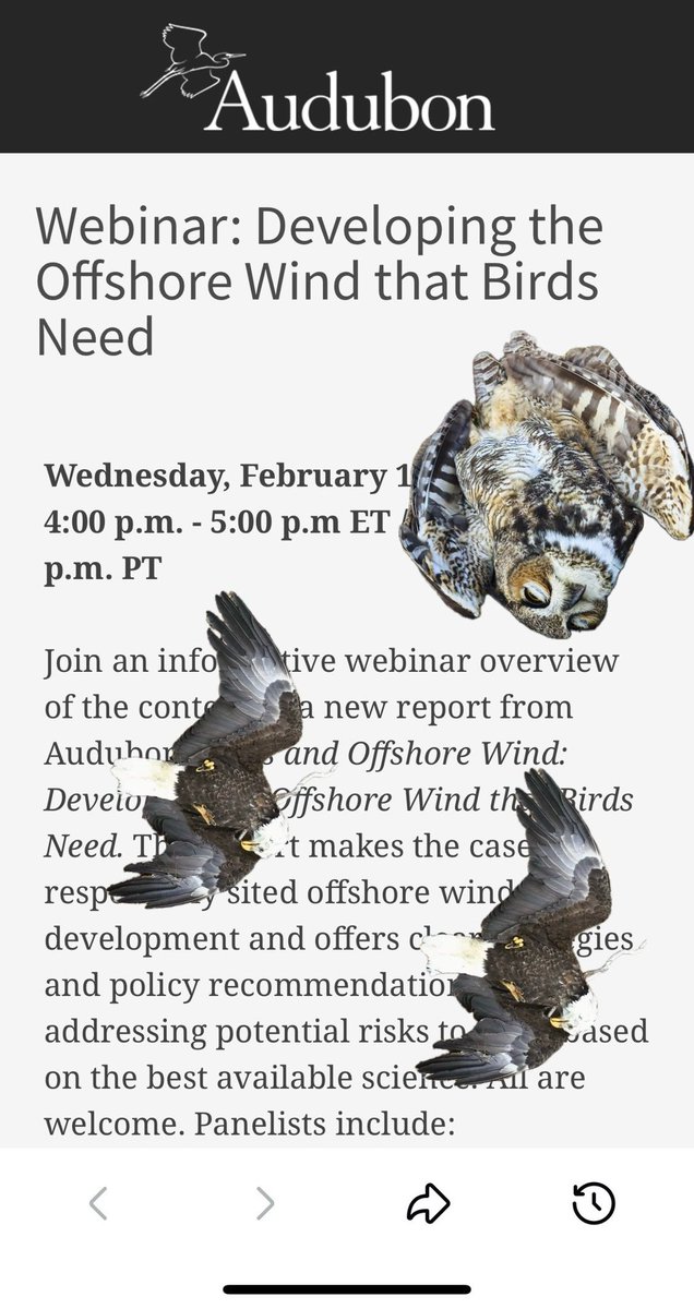 Protect Our Coast NJ (@njcoast_protect) on Twitter photo The fact <a href="/audubonsociety/">Audubon Society</a> supports wind killing machines is a testament to their commitment to money…not birds. The fact <a href="/audubonsociety/">Audubon Society</a> supports wind killing machines is a testament to their commitment to money…not birds.