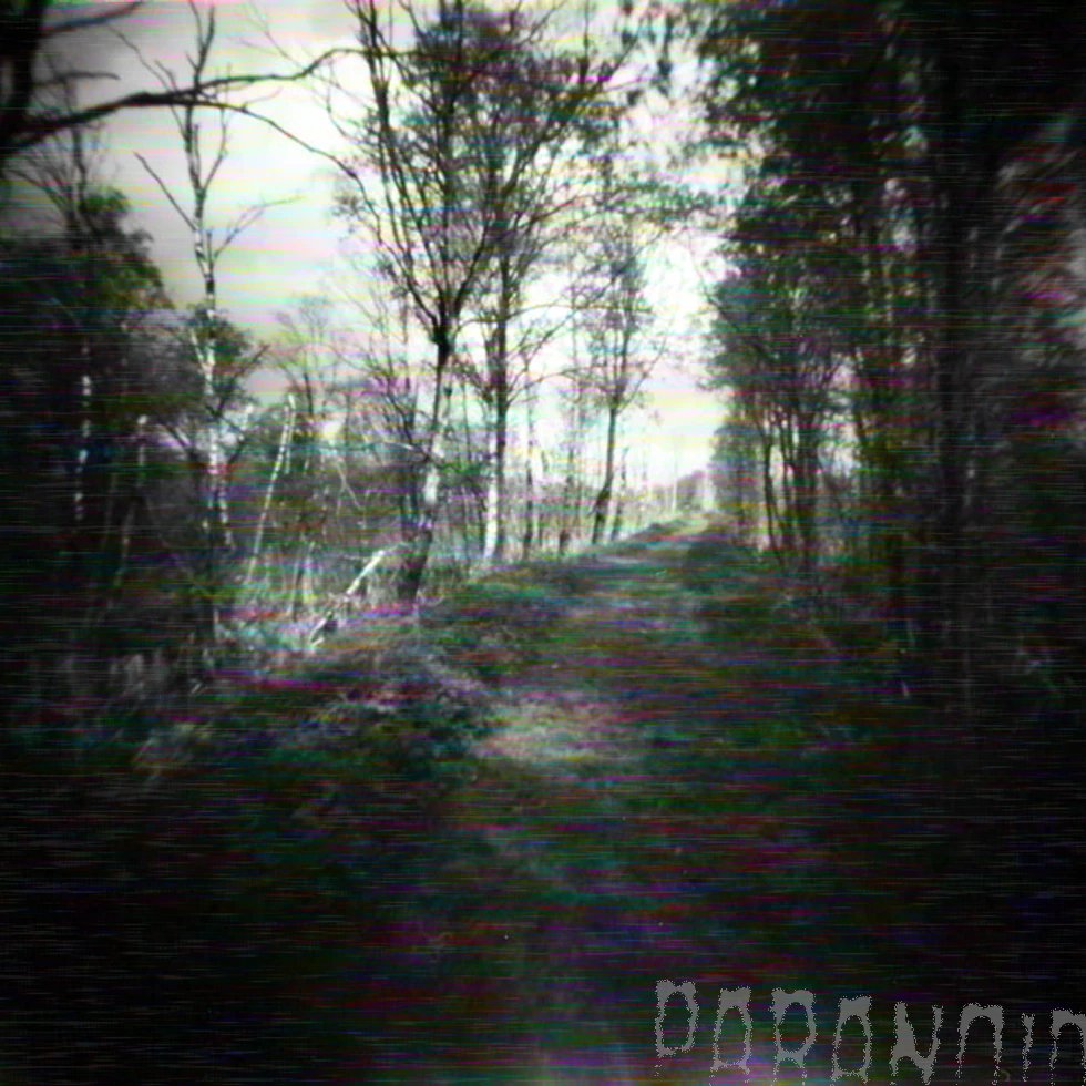 theartist tweet media