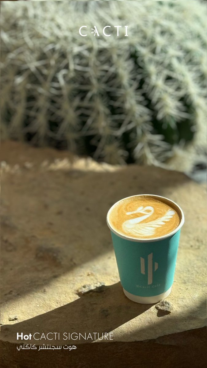 Cacti cafe | كاكتي كافيه tweet media