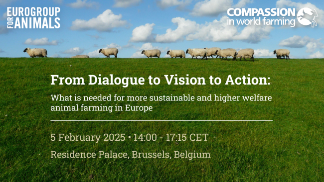 Eurogroup For Animals tweet media