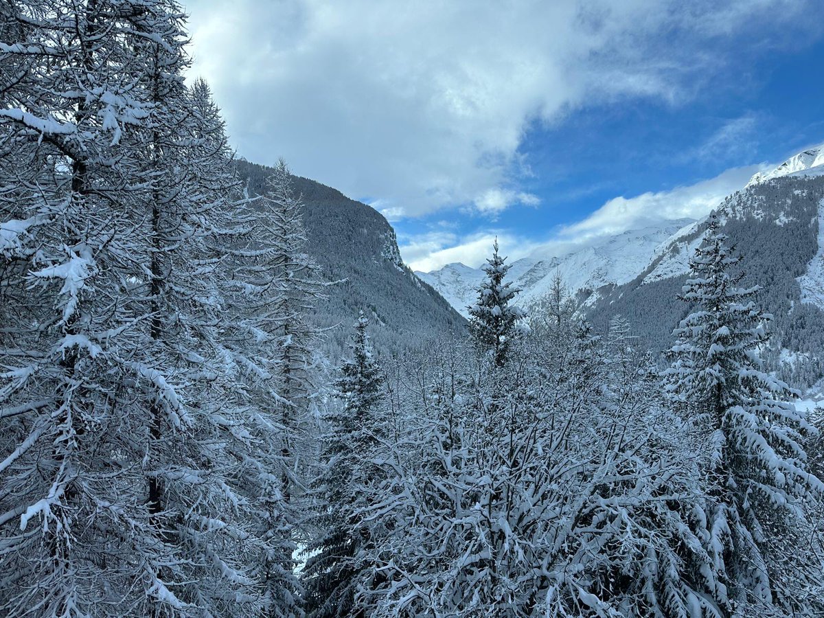 È tutto pronto per la 🎿 Coppa del Mondo di sci di fondo a #Cogne. Oggi allenamenti e domani la prima gara con la team sprint a tecnica classica.

Fondation Grand Paradis è #supporter di questo grandioso evento sportivo.
❄️ Auguriamo a tutti gli atleti una grande gara!

#worldcup