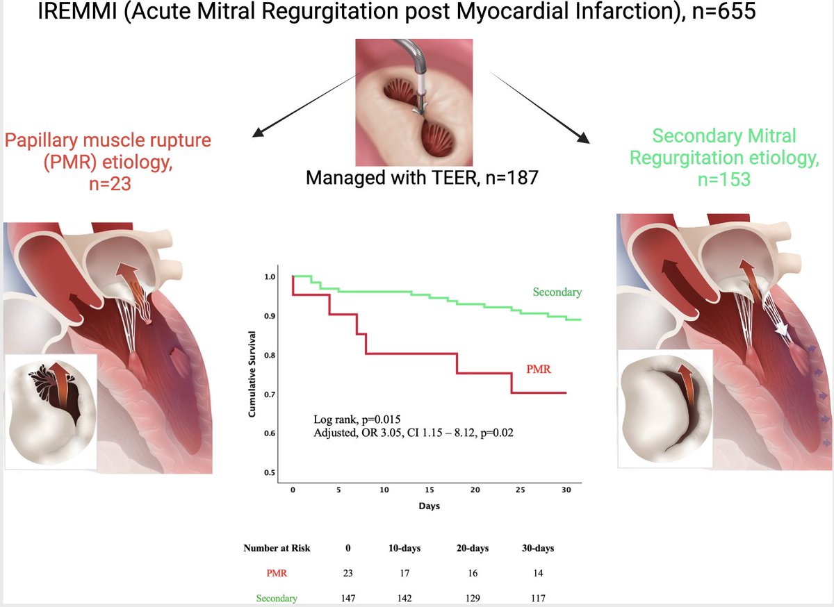 European Society of Cardiology Journals (@esc_journals) on Twitter photo TEER can be a lifesaving option or a bridge in decompensated post-MI MR of all etiologies.
Yet, pts w PMR face ⬆️ risks of ☠️ and surgical conversion bit.ly/42w6LQY
<a href="/AmrAbdin10/">Amr Abdin</a> <a href="/GiuseppeGalati_/">Giuseppe Galati</a> <a href="/HanCardiomd/">Henry Han</a> <a href="/EJHFEiC/">EJHF Editor-in-Chief</a> <a href="/haberdan/">Dan Haberman</a> TEER can be a lifesaving option or a bridge in decompensated post-MI MR of all etiologies.
Yet, pts w PMR face ⬆️ risks of ☠️ and surgical conversion bit.ly/42w6LQY
<a href="/AmrAbdin10/">Amr Abdin</a> <a href="/GiuseppeGalati_/">Giuseppe Galati</a> <a href="/HanCardiomd/">Henry Han</a> <a href="/EJHFEiC/">EJHF Editor-in-Chief</a> <a href="/haberdan/">Dan Haberman</a>