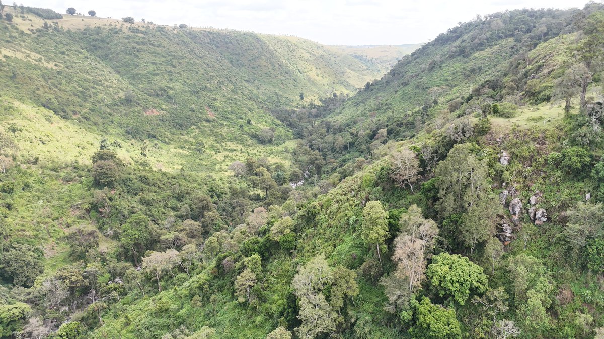 It's all about mapping