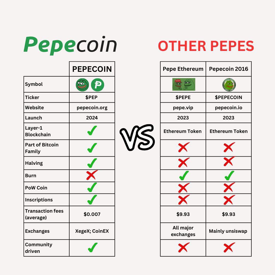 Chica Crypto tweet media