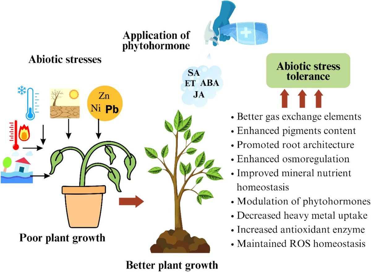 Abiotic stress in plants (Green Survivors) (@abioticstress) on Twitter photo Review by Das et al. <a href="/GIETUniversity/">GIET University Gunupur</a> <a href="/SpringerPlants/">Springer Plants</a> <a href="/SpringerNature/">Springer Nature</a>
#Phytohormonal signaling in plant #resilience: advances and #strategies for enhancing #abiotic stress tolerance
link.springer.com/article/10.100…
#PlantSci <a href="/sci_plant/">Plant Science</a> <a href="/icarindia/">Indian Council of Agricultural Research.</a> <a href="/MOFPI_GOI/">Ministry of Food Processing Industries</a> <a href="/IndianBotanists/">Indian Botanists</a> <a href="/AgriExperts/">AgriExperts</a> Review by Das et al. <a href="/GIETUniversity/">GIET University Gunupur</a> <a href="/SpringerPlants/">Springer Plants</a> <a href="/SpringerNature/">Springer Nature</a>
#Phytohormonal signaling in plant #resilience: advances and #strategies for enhancing #abiotic stress tolerance
link.springer.com/article/10.100…
#PlantSci <a href="/sci_plant/">Plant Science</a> <a href="/icarindia/">Indian Council of Agricultural Research.</a> <a href="/MOFPI_GOI/">Ministry of Food Processing Industries</a> <a href="/IndianBotanists/">Indian Botanists</a> <a href="/AgriExperts/">AgriExperts</a>
