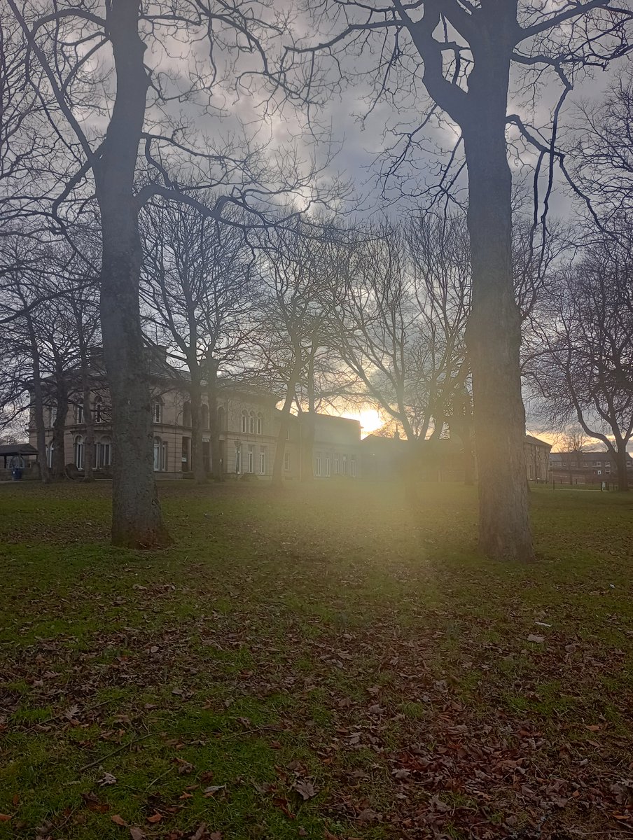 ellin_richard's tweet image. #photoof