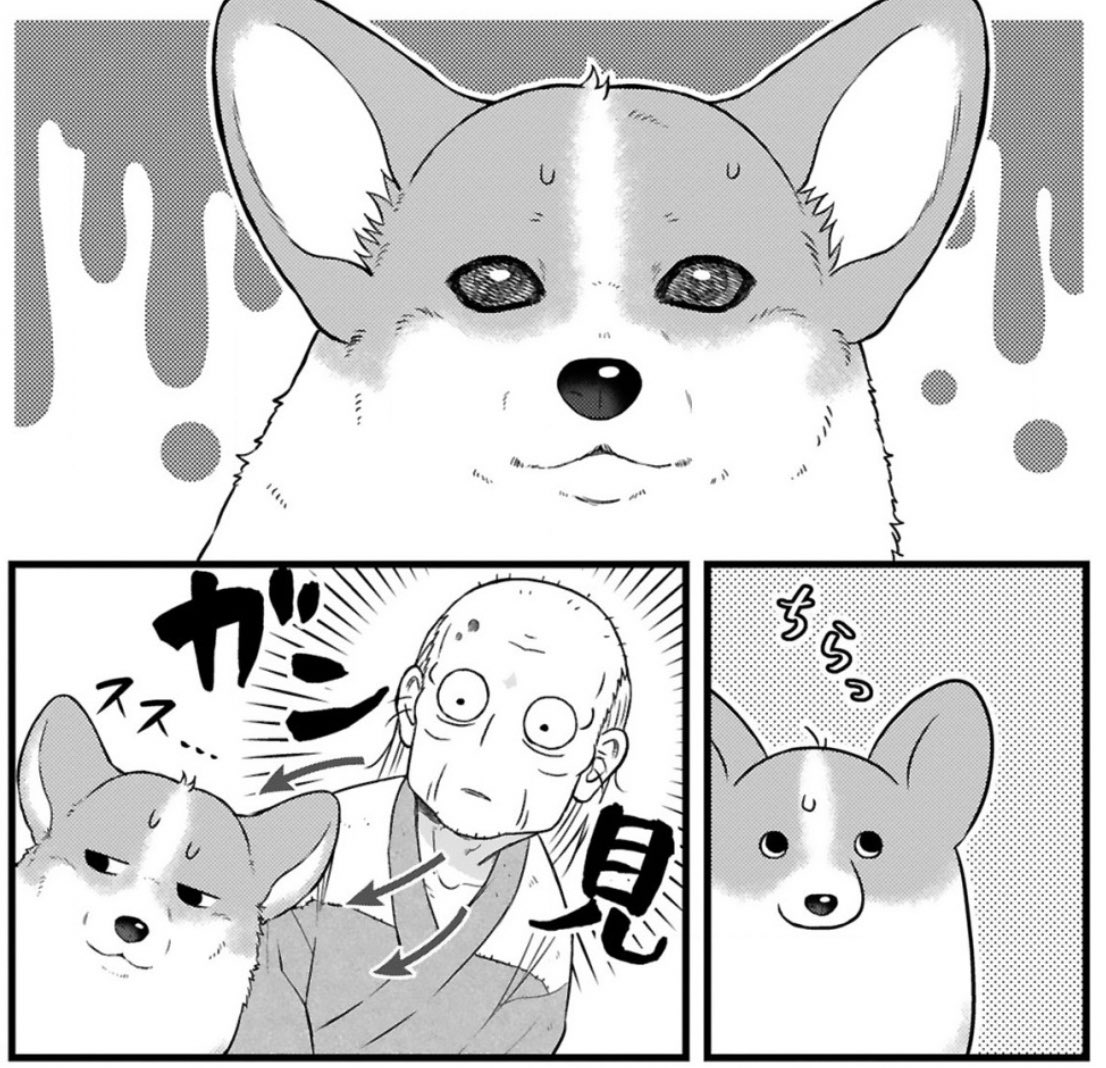✨本日更新✨
マンガもアニメも楽しんでね🙌
コーギーを拾った没落武士の
天下泰平🌟主従暮らし
『#殿と犬』38話 殿と新年
https://t.co/Il6UfJFN6A
なんだかツイてない日もある。
殿、本日厄日の予感…それとも…⁉️
🐾単行本1〜4巻発売中
https://t.co/ZVopO5JjRi
⏩アンケート感想も大歓迎