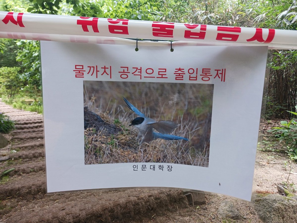 학교 뒷길이 막힌 적도 있음 ㅋㅋㅋㅋ ㅠㅠㅠㅠ