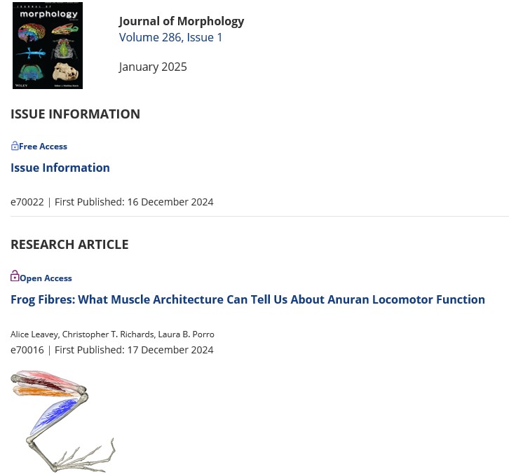 Exciting to get our J of Morphology email alert on articles published today and see our Alice Leavey's paper on #frogs highlighted.  Fruitful collaboration with the <a href="/RoyalVetCollege/">Royal Veterinary College (RVC)</a> and her supervisor, our <a href="/LauraBPorro/">Laura Porro</a>.  'Anuran' = frog/toad! <a href="/AliceInEvoland/">Dr Alice Leavey</a> <a href="/JournalofMorph/">Journal of Morphology</a>