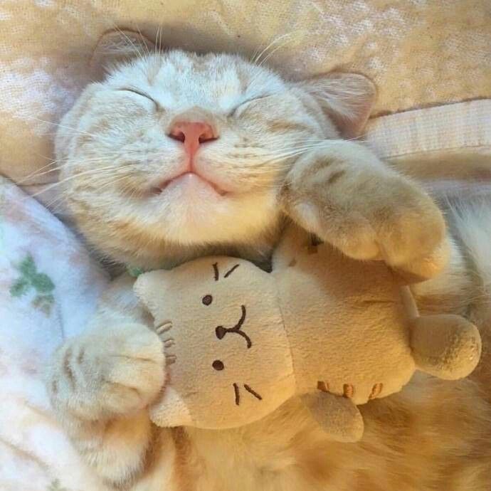 usekless's tweet image. masuk pict? likee dong! makasiih

. #zonauang