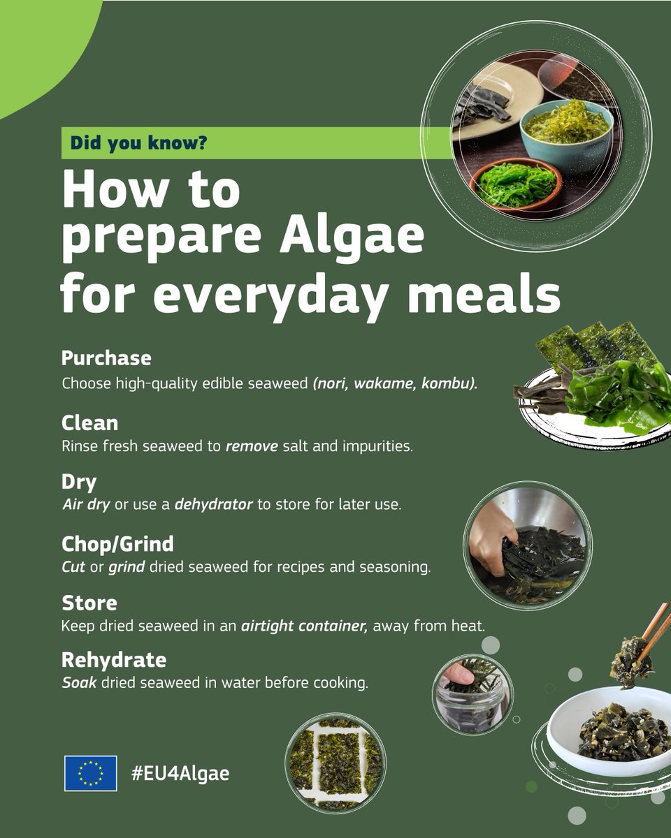 Did you know #algae are easy to process for daily meals❓

🛒 Choose edible varieties like nori or kombu
 💦 Rinse, dry, and store
 🍴 Rehydrate for soups, snacks, or salads

Bring this ocean superfood to your table today! 

#EU #EMFAF #EU4Algae