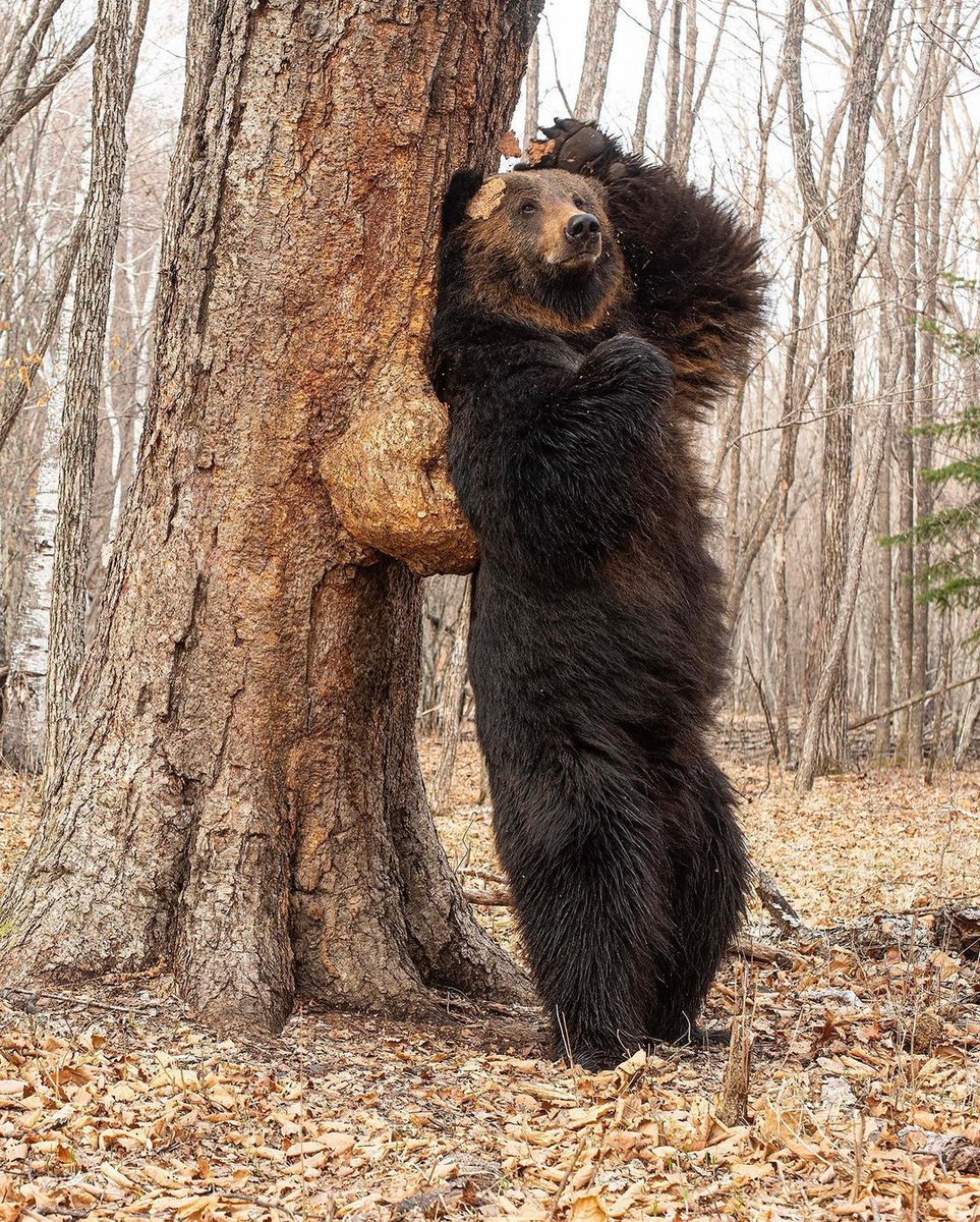 Nature is Amazing ☘️ tweet media