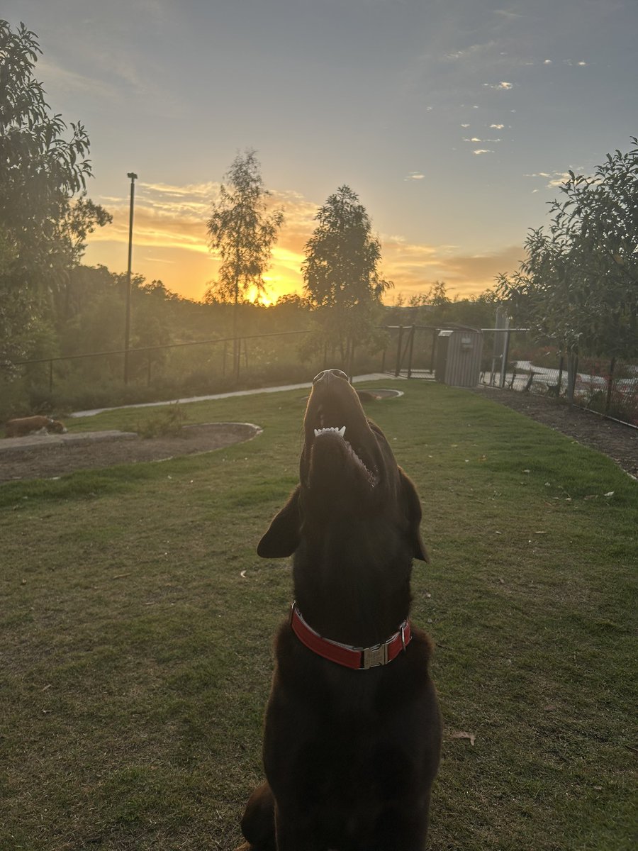 I should have been sleeping but here I was at 5AM with Rogue