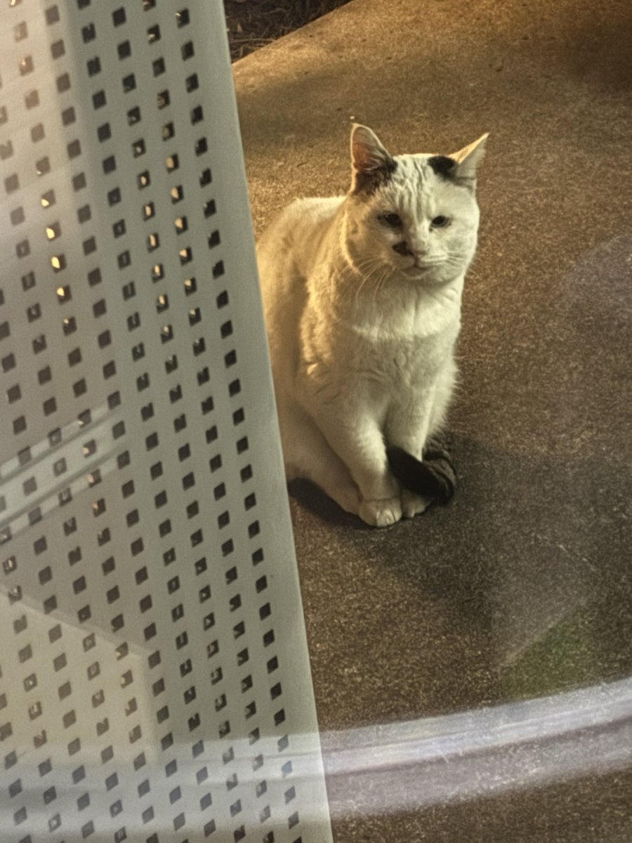 外から見られてた