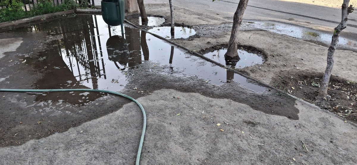 FelipeCceresM1's tweet photo. @munirancagua buen día, hace un par de días no viene personal de mantención de plaza y el agua está corriendo en Villa San Vicente De Paul, ya está regando la calle https://t.co/C3vagKu52W