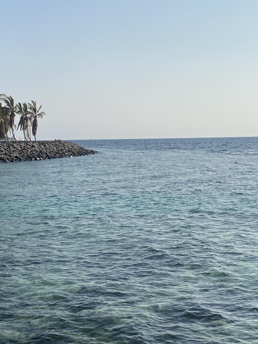 🌿ياالناس ستختفي الكثير من المشاكل إذا تعلم الناس الحديث مع

بعضهم البعض أكثر من الحديث عن بعضهم البعض 
اي والله صحيح 🌿