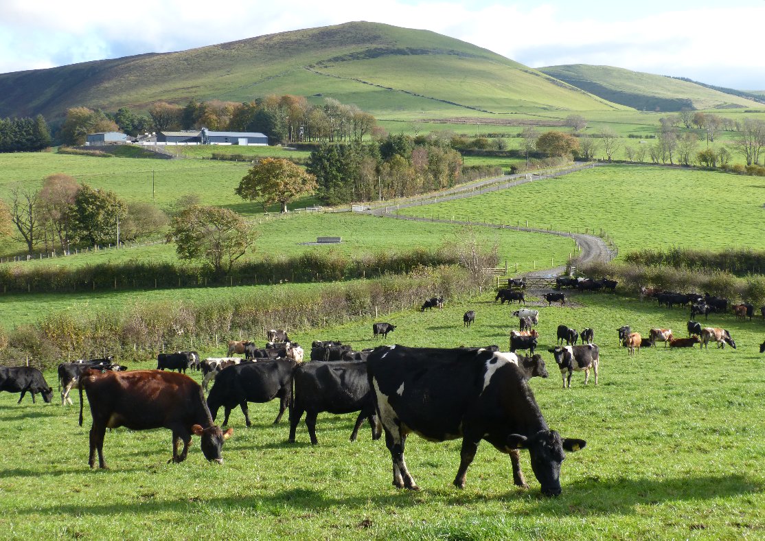 Michael Priestley tweet media